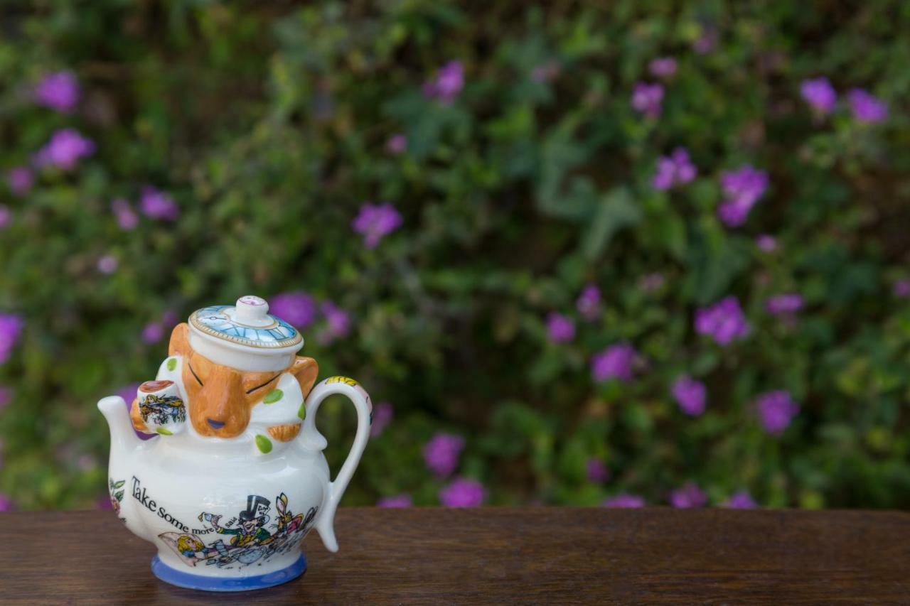 سانتا باربارا Cheshire Cat Inn & Cottages المظهر الخارجي الصورة